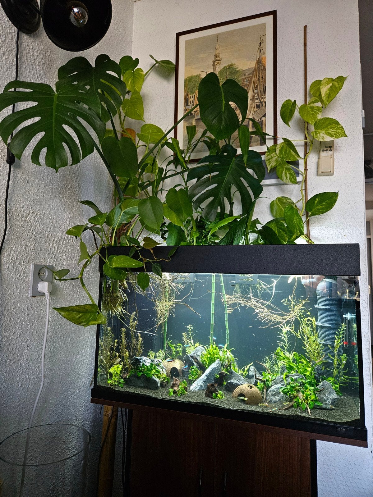 Juwel Rio 125 leeg, Dieren en Toebehoren, Vissen | Aquaria en Toebehoren, Ophalen, Gebruikt, Leeg aquarium, Juwel