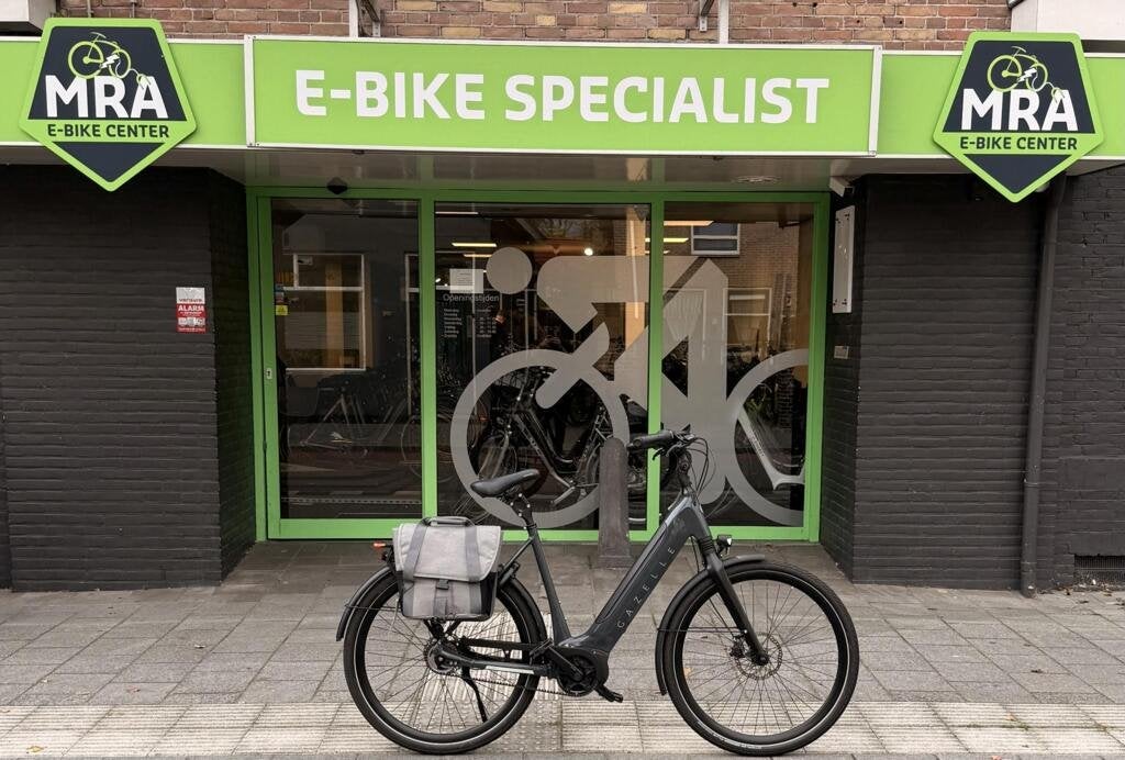 Gazelle Ultimate, Fietsen en Brommers, Gebruikt, Gazelle