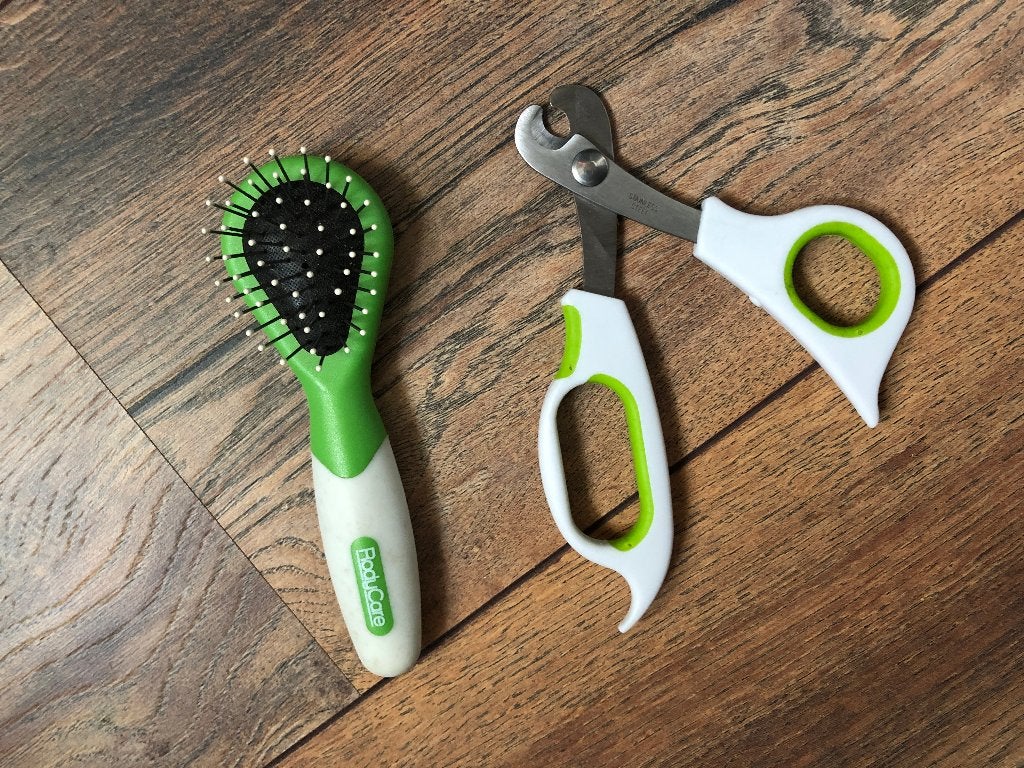 Nagelschaar & borstel | knaagdieren | RodyCare, Ophalen of Verzenden, Zo goed als nieuw, Verzorging