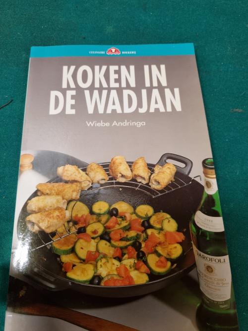 boek koken in de wadjan, Ophalen of Verzenden