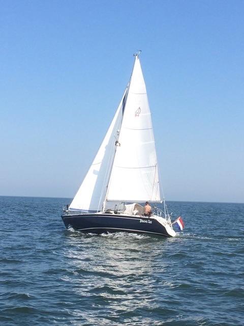 Dehler 31 duetta 94 uit 1988., Watersport en Boten, Ophalen, Gebruikt, Polyester, Diesel
