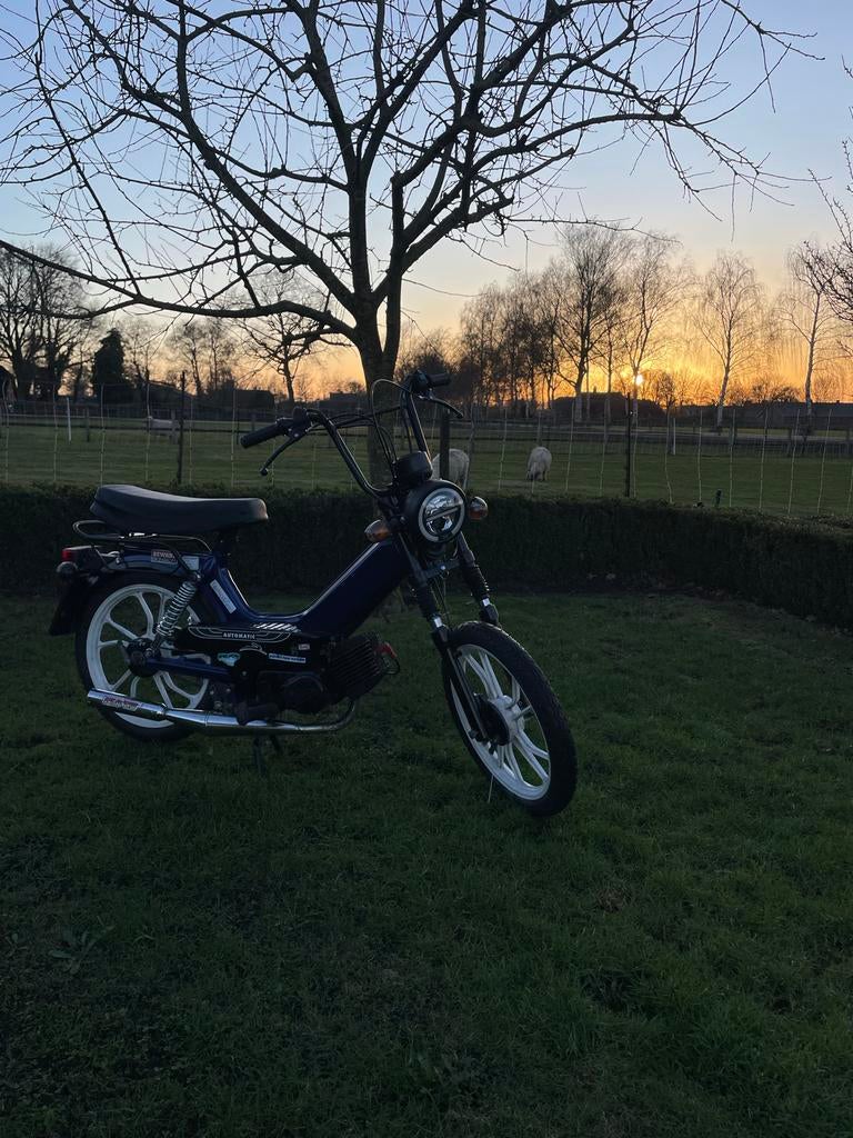 Tomos Quadro in nette staat - nieuwe ketting nodig, Fietsen en Brommers, Ophalen, Zo goed als nieuw, Quadro