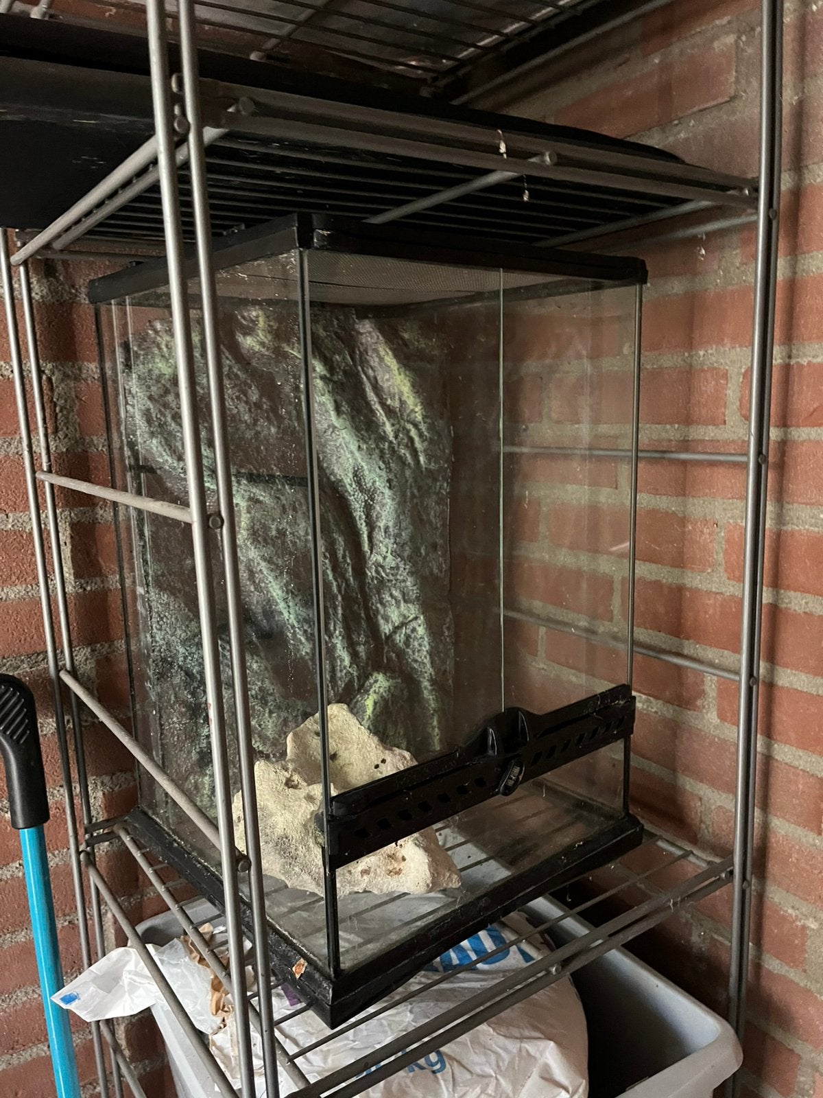 Paludarium, Dieren en Toebehoren, Reptielen en Amfibieën | Toebehoren, Ophalen, Gebruikt