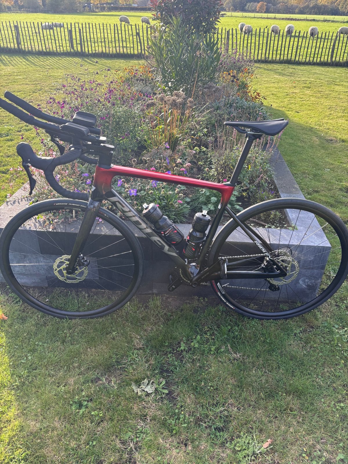 Ridley racefiets - Zo goed als nieuw, 28 inch, Carbon, Heren, Zo goed als nieuw