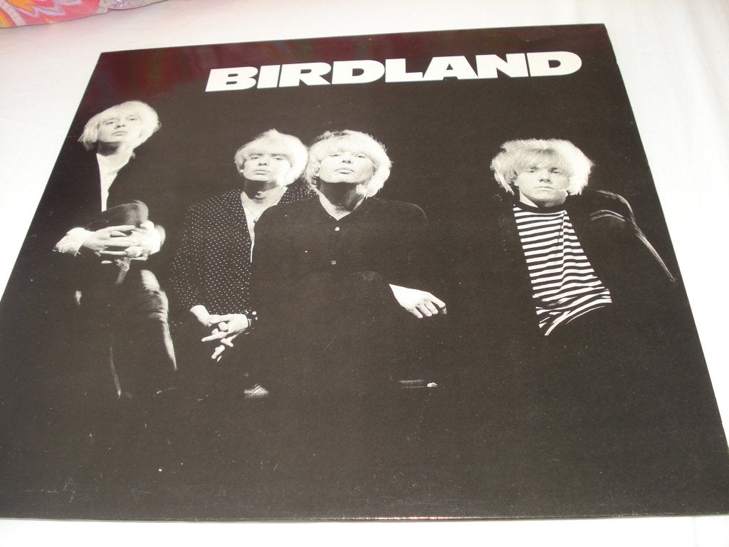 BIRDLAND - BIRDLAND indie ,alt rock, LP, Gebruikt, Ophalen of Verzenden, 12 inch