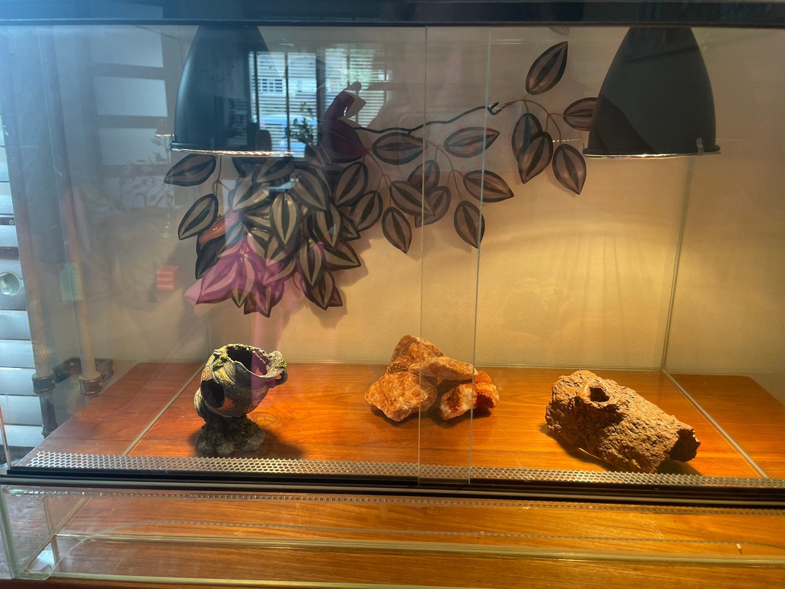 Terrarium, Dieren en Toebehoren, Ophalen, Zo goed als nieuw