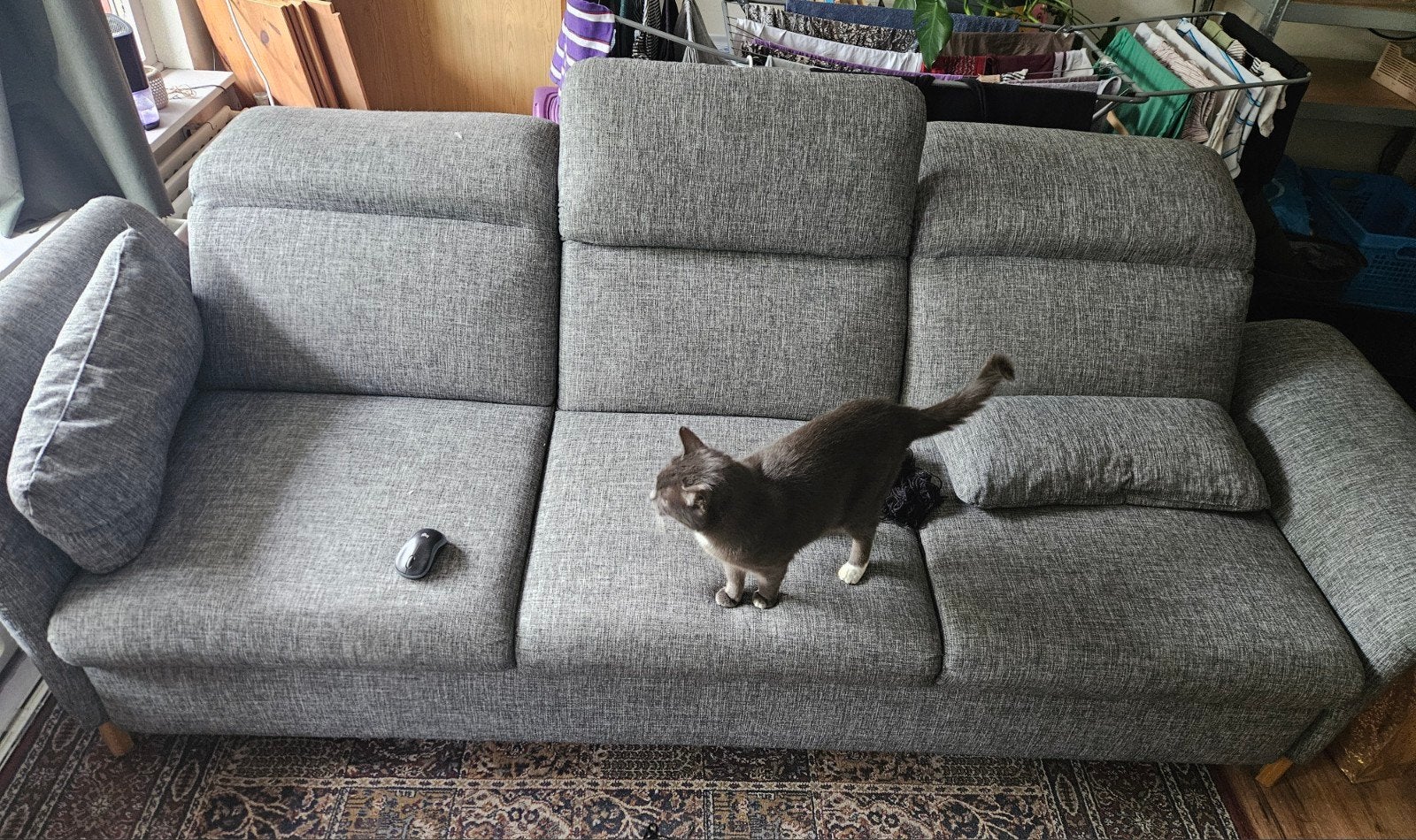Grey couch for free! Pick up in Ouderkerk before June 21, Huis en Inrichting, Banken | Bankstellen, Ophalen, Gebruikt, Driepersoons