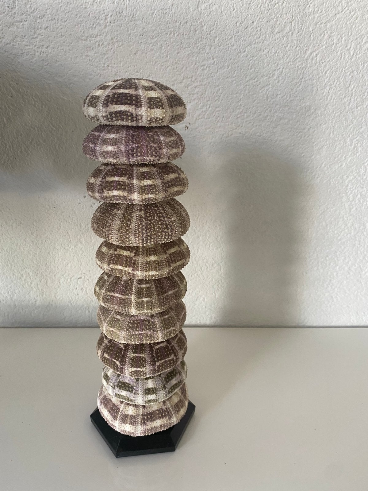 Zeeegel/zee egel toren, Ophalen