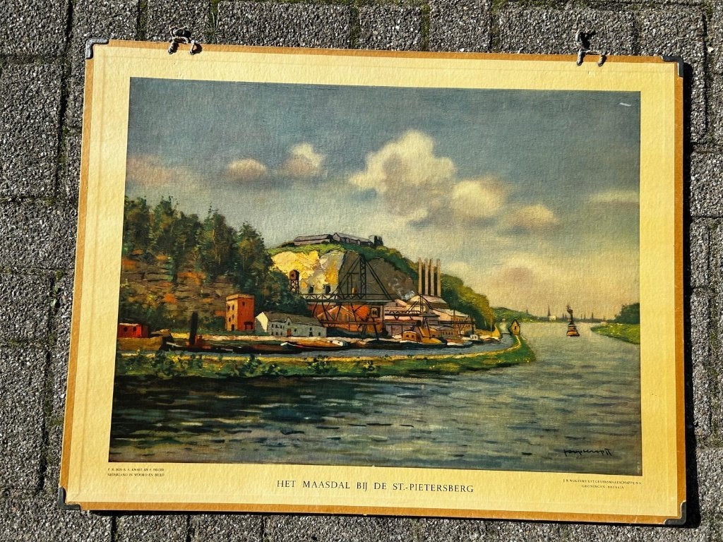 Het Maasdal en de Sint-Pietersberg, Ophalen of Verzenden, Natuur en Biologie