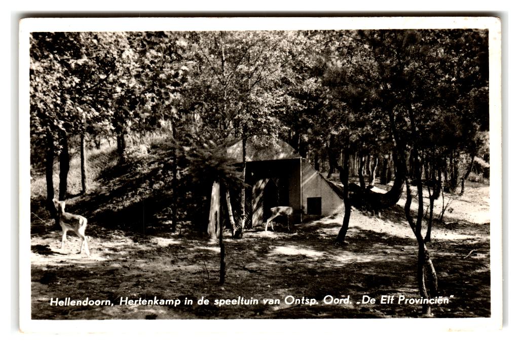 Hellendoorn, Hertenkamp in speeltuin van "De Elf Provinciën", Verzenden, 1940 tot 1960, Gelopen, Overijssel