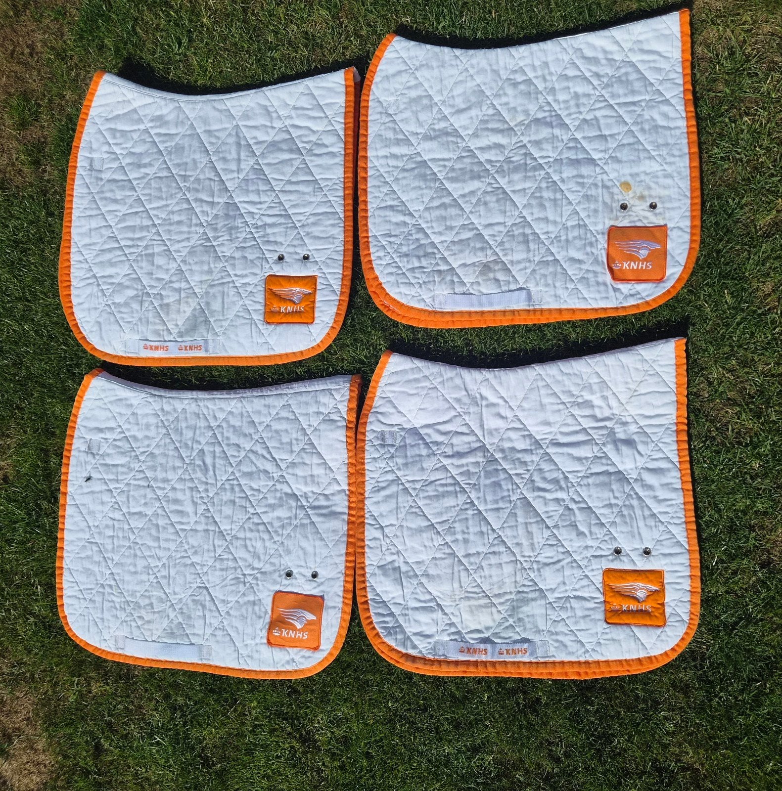 Dekjes, oornetjes, bandages en beugels, Full (L), Verzenden, Gebruikt, Dressuurdekje