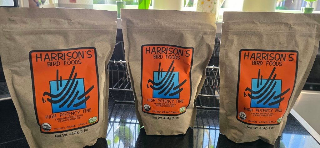 Te Koop wegens overlijden Valkparkiet, Dieren en Toebehoren, Ophalen, Nieuw, Eten en Drinken