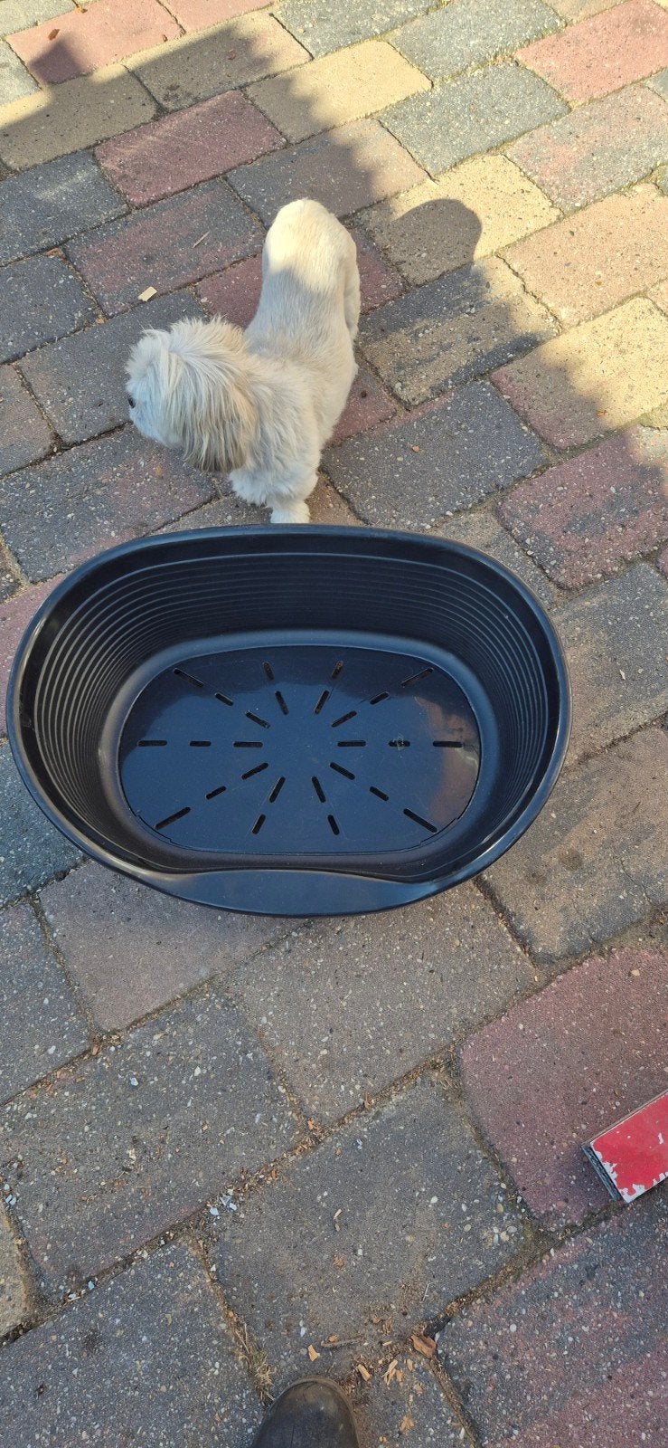 honden mand, Dieren en Toebehoren, Ophalen of Verzenden