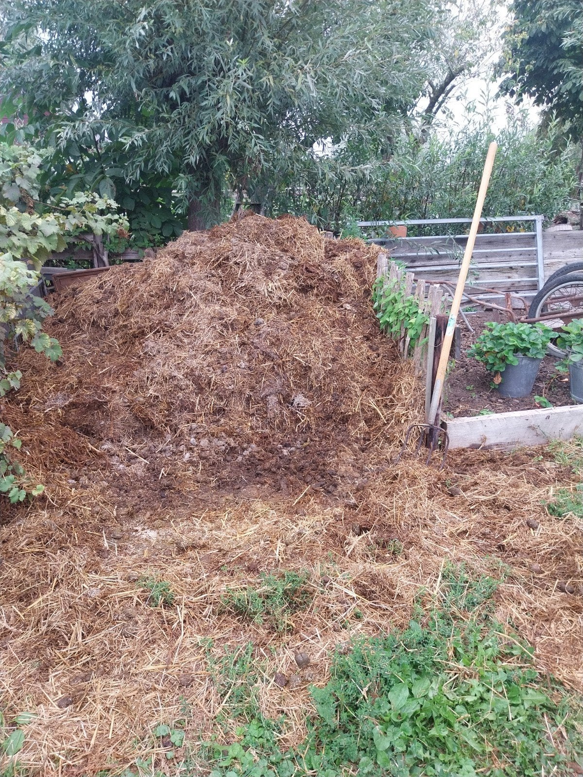 gratis paardenmest moestuinbemesting, Ophalen