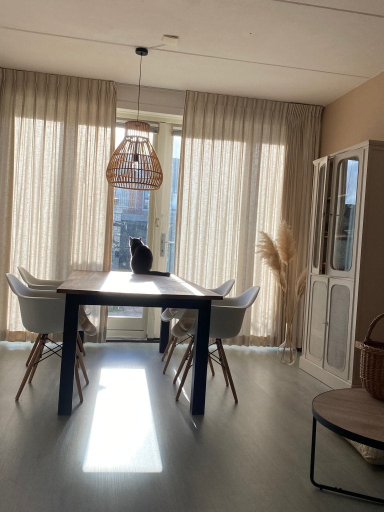 hanglamp, Ophalen, Gebruikt, Natuurlijk materiaal, Bamboo