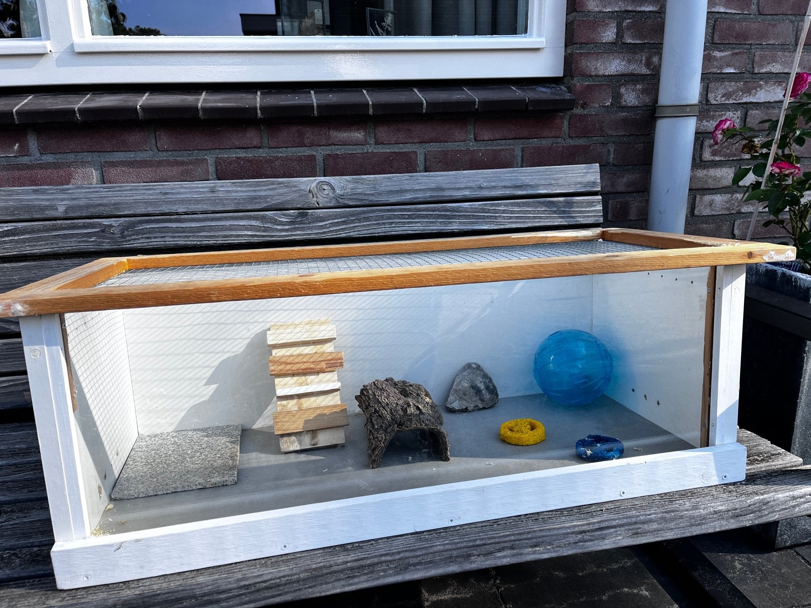 Hok voor hamster met wat attributen, Dieren en Toebehoren, Gebruikt, Minder dan 75 cm, Ophalen, Minder dan 60 cm