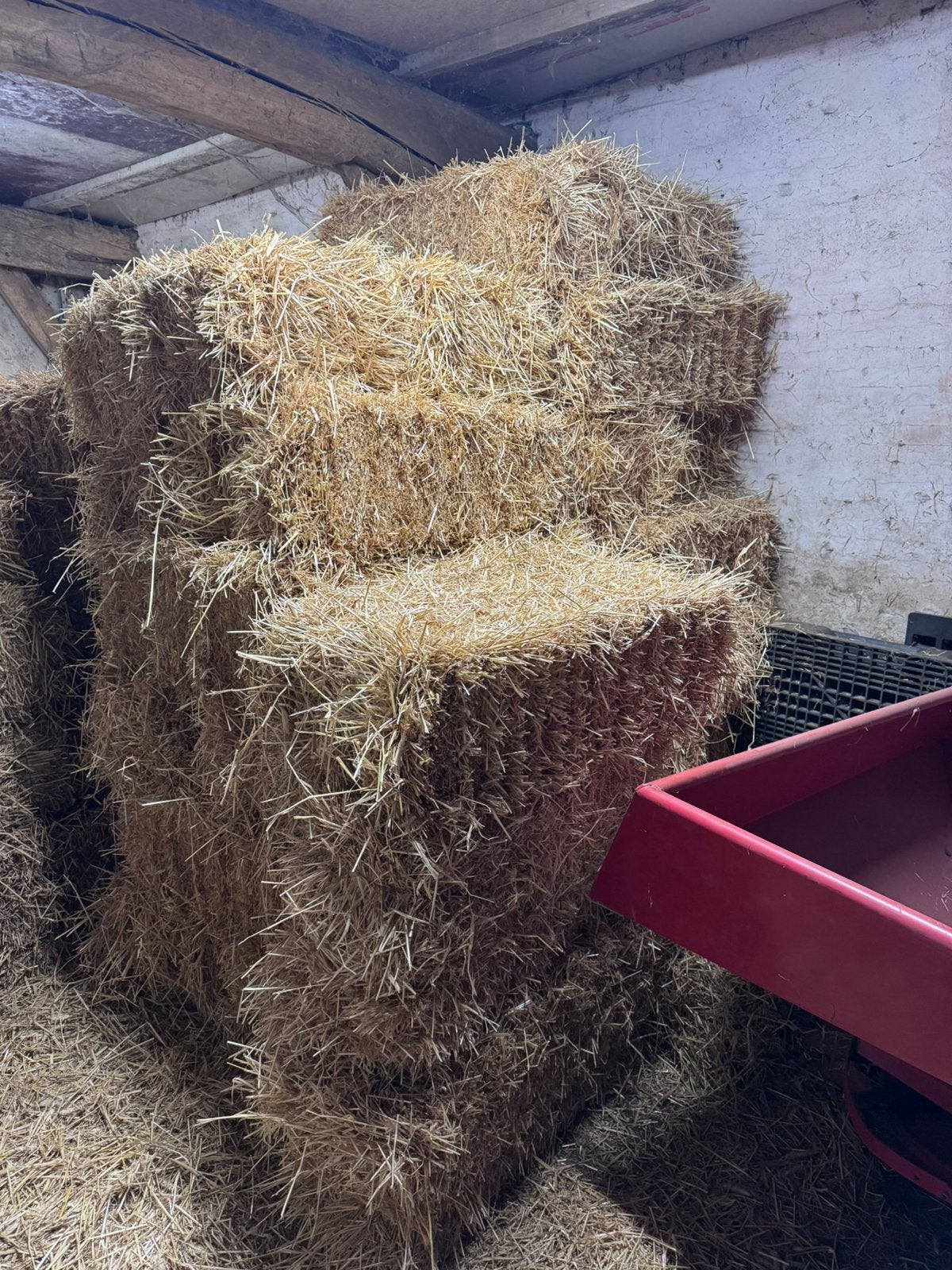 Kleine pakjes stro! Stofvrij 30,5 baal, Dieren en Toebehoren, Dierenvoeding, Ophalen, Vee