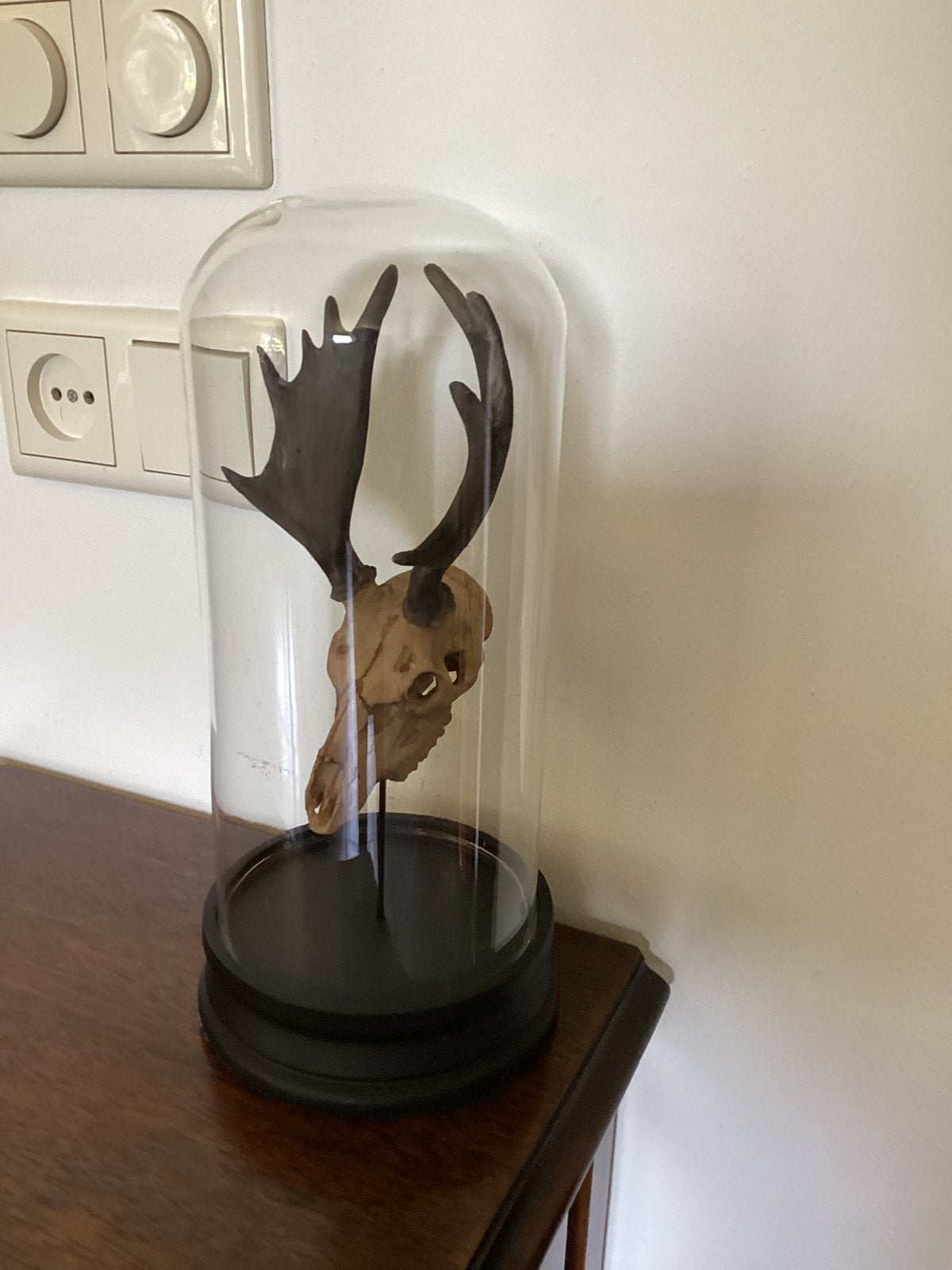 Stolp met sculptuur Ptmd hoogte 30 cm, Ophalen of Verzenden, Zo goed als nieuw