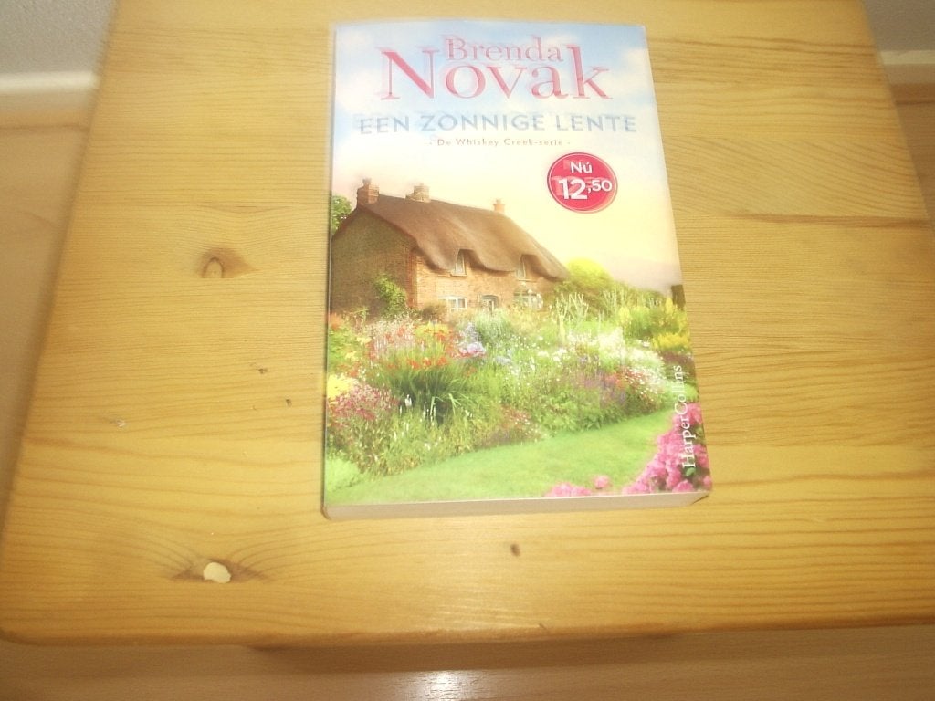 roman van BRENDA NOVAK, Ophalen of Verzenden, Zo goed als nieuw, Brenda Novak, Nederland