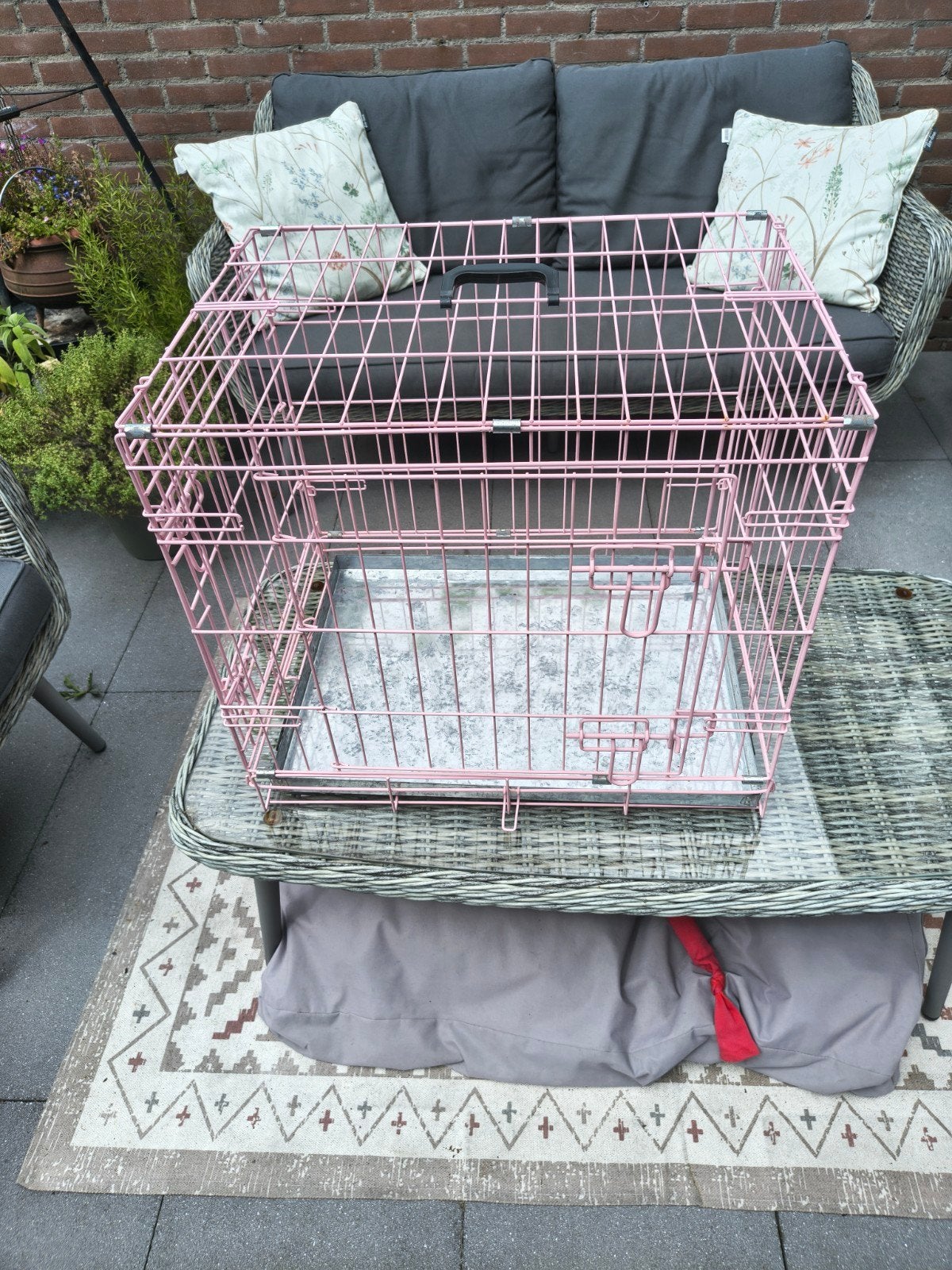 Roze hondenbench, Ophalen