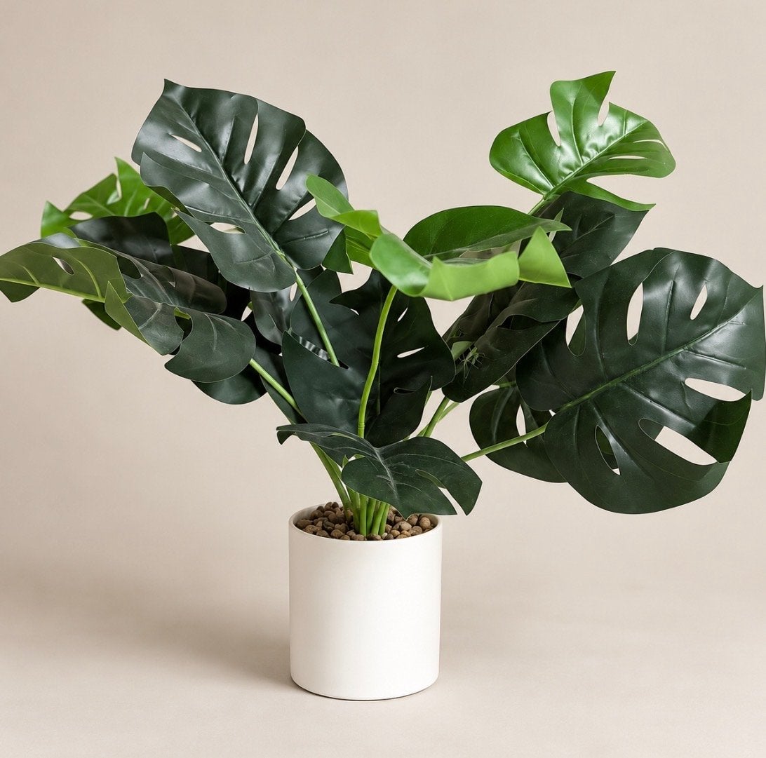 Kunst Monstera Plant in Witte Pot - Realistisch Groen, Binnen, Groen, Kunstplant, Ophalen of Verzenden