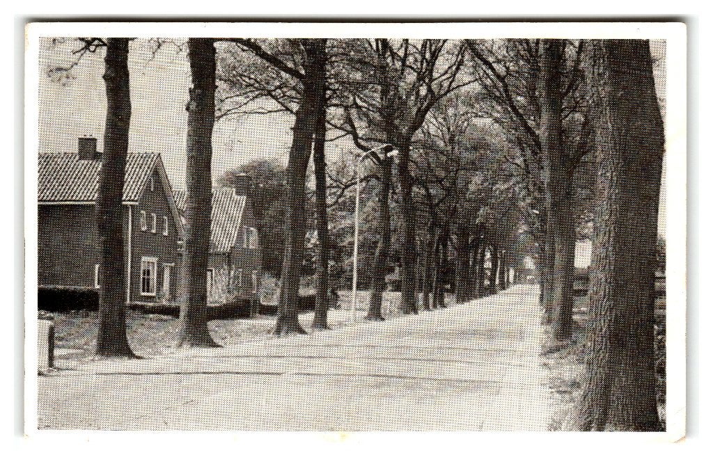 Tuk, Steenwijkerwold, Rijksweg, Verzenden, 1940 tot 1960, Gelopen, Overijssel