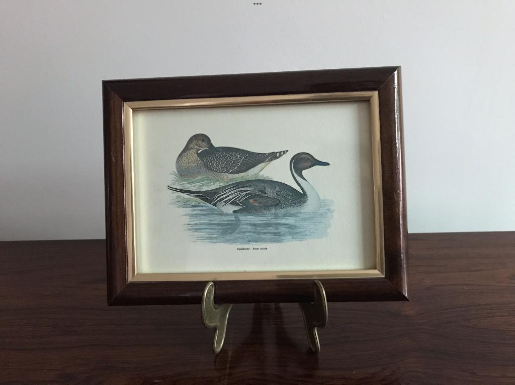 Lijst kader 2 eenden eendjes achter glas, Antiek en Kunst, Ophalen of Verzenden