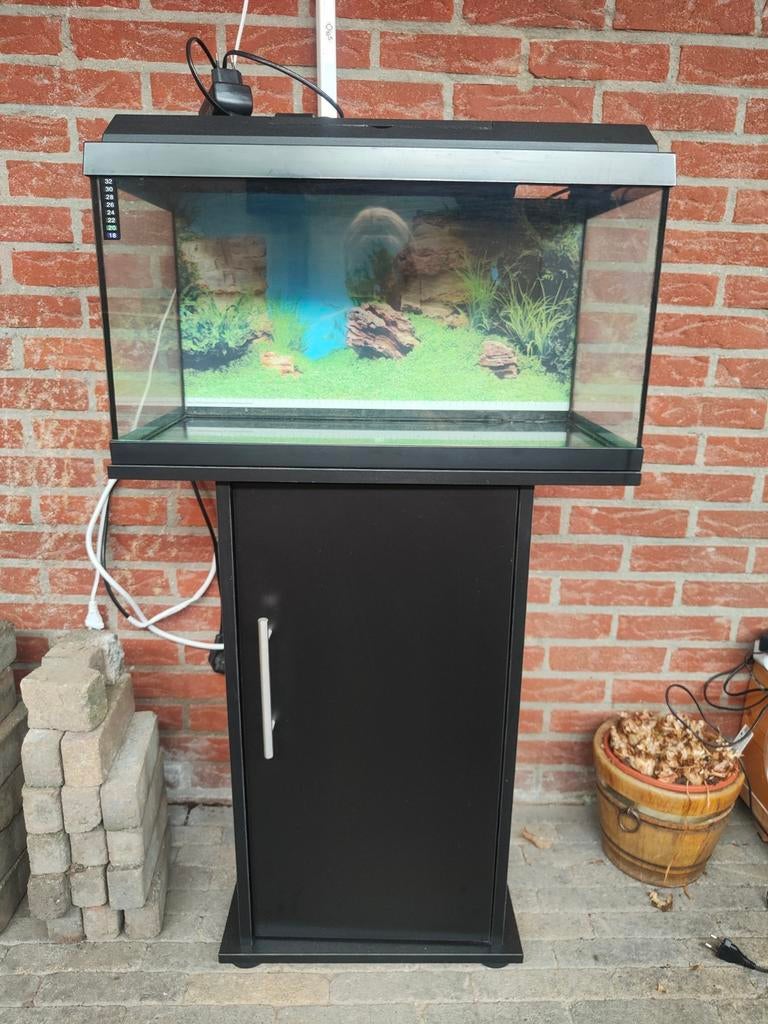 Aquarium 60l, Ophalen, Leeg aquarium