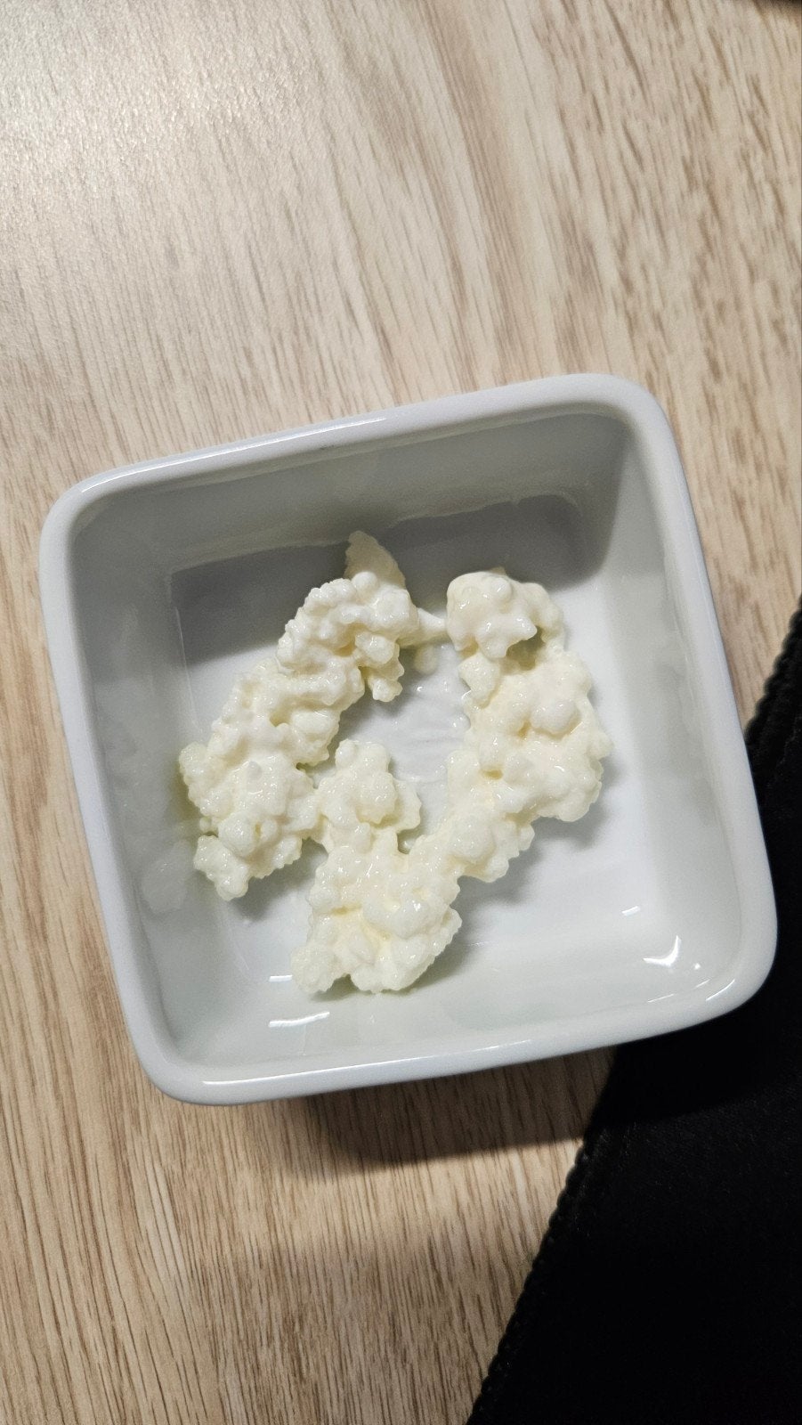 Melk kefir korrels, Ophalen