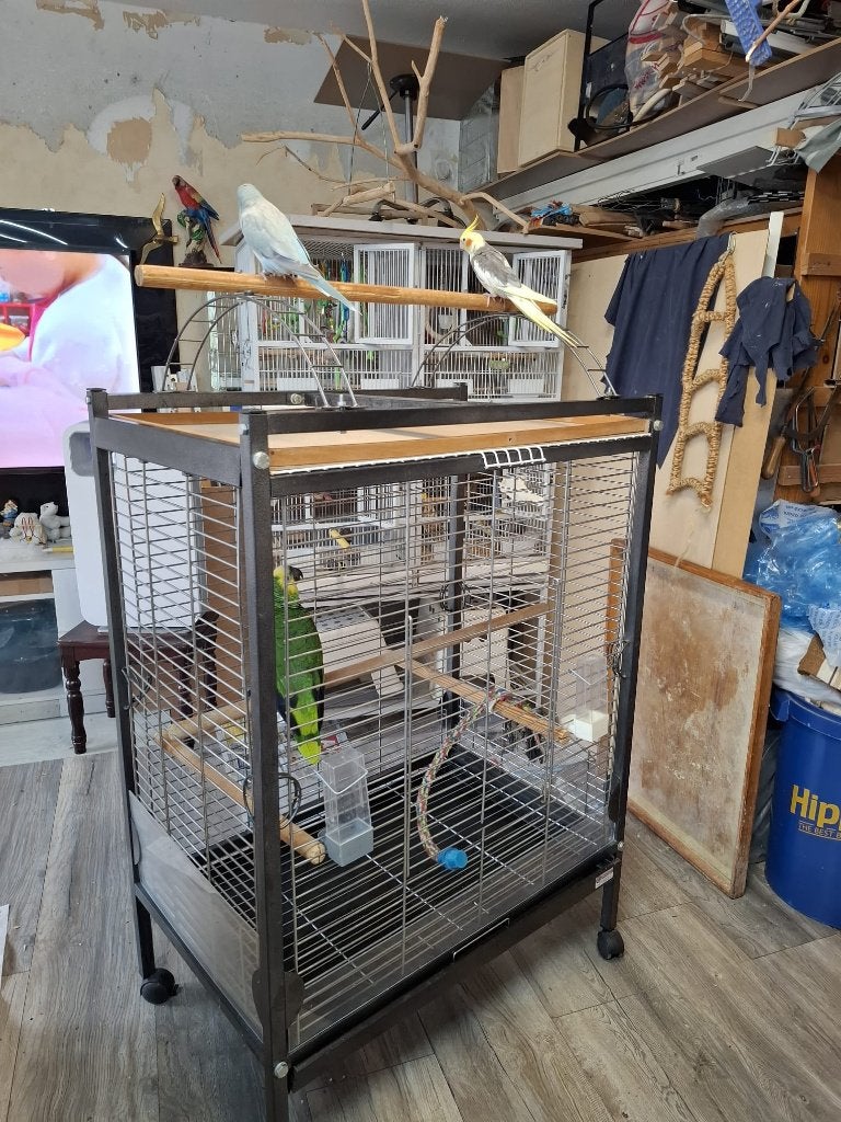 valkparkieten vogels kooi voor klein en grote vogel, Dieren en Toebehoren, Ophalen, Zo goed als nieuw, Metaal, Vogelkooi