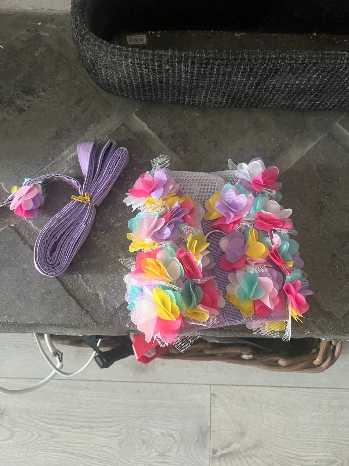 Tuigje en riempje voor een klein pupje, Ophalen of Verzenden, Nieuw