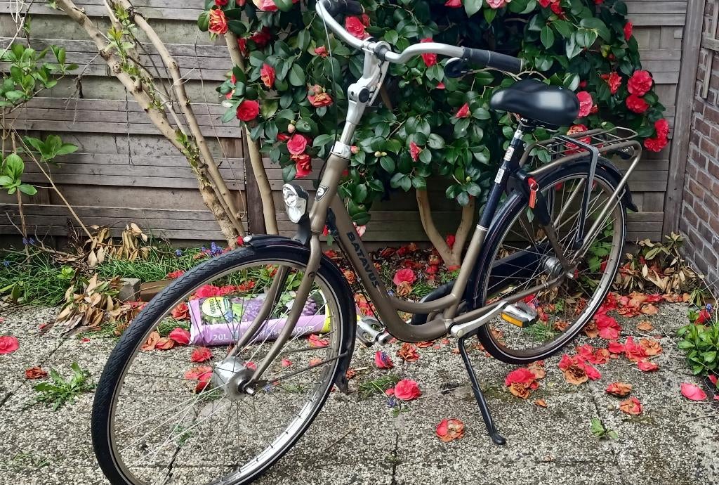 Batavus fiets terugtraprem, anti-lek banden, versnellingen, Ophalen, Gebruikt