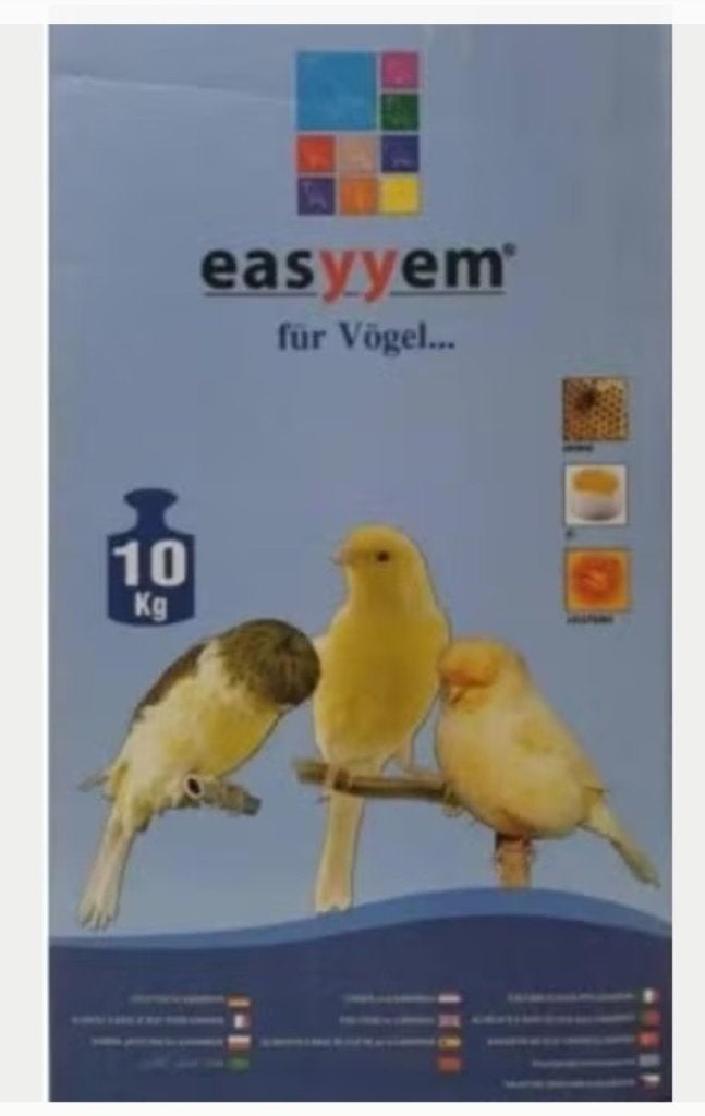 Eivoer Kanarie Easyyem, Mannelijk, Kleurkanarie