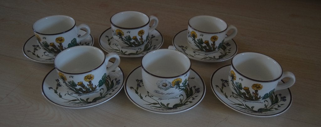 Villeroy & Boch - Tafelservies Botanica kop & schotels, Villeroy & Boch, Nieuw, Ophalen of Verzenden, Overige stijlen