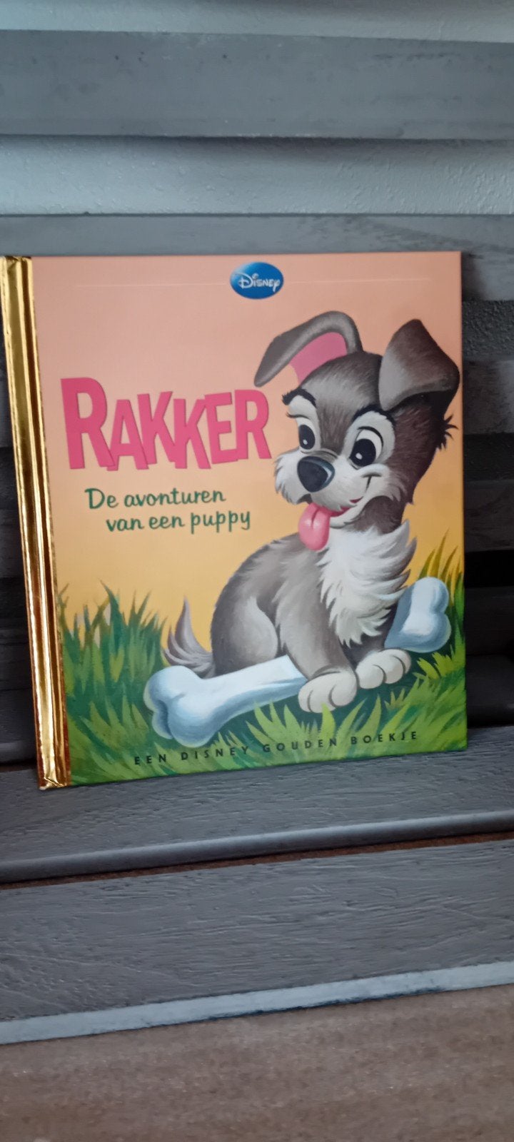 Rakker Disney Gouden Boekje, Boeken, Kinderboeken | Kleuters, Ophalen of Verzenden
