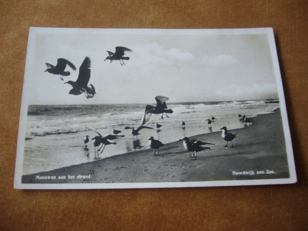 NOORDWIJK AAN ZEE = MEEUWEN AAN HET STRAND -MILITAIR GELOPEN, Verzenden, 1920 tot 1940, Gelopen, Zuid-Holland