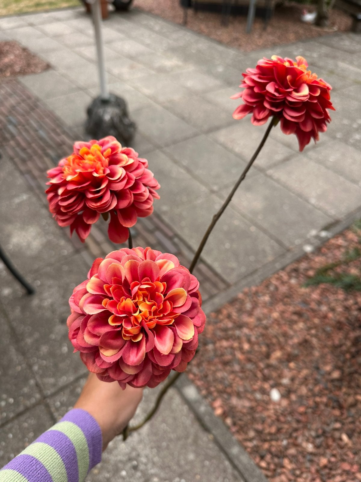 Prachtige Dahlia zijdebloemen, kwaliteit!, Ophalen of Verzenden, Zo goed als nieuw