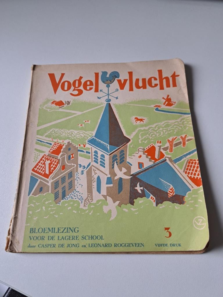 Casper de Jong - Vogelvlucht - Bloemlezing, Antiek en Kunst, Antiek | Boeken en Bijbels, Ophalen of Verzenden