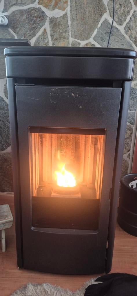Edilkamin Yana 6,9 KW Pelletkachel + Asstofzuiger, Ophalen, Gebruikt, Pelletkachel, Vrijstaand
