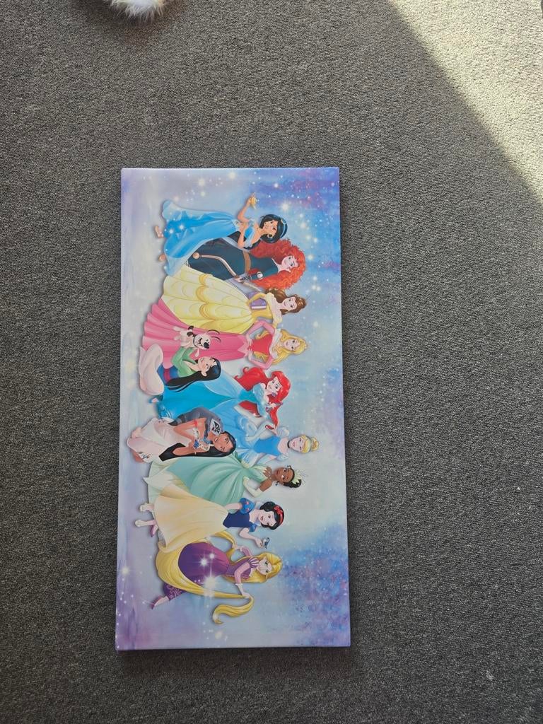 Disney Prinsessen Schilderij voor Kinderkamer, Ophalen of Verzenden, Zo goed als nieuw, Wanddecoratie