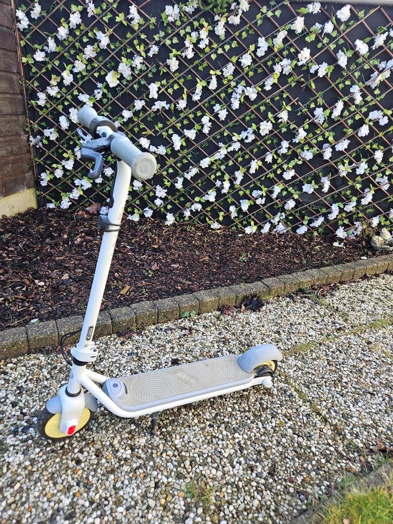 Ninebot Zing C10, Ophalen, Gebruikt, Elektrische step (E-scooter), Ninebot