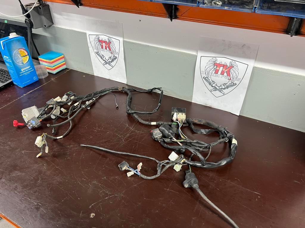 Derbi/aprilia euro 4 kabelboom, Fietsen en Brommers, Gebruikt, Overige typen, Ophalen of Verzenden, Nvt