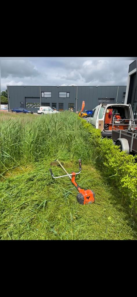 Hovenier aangeboden!, Tuinonderhoud of Snoeiwerk