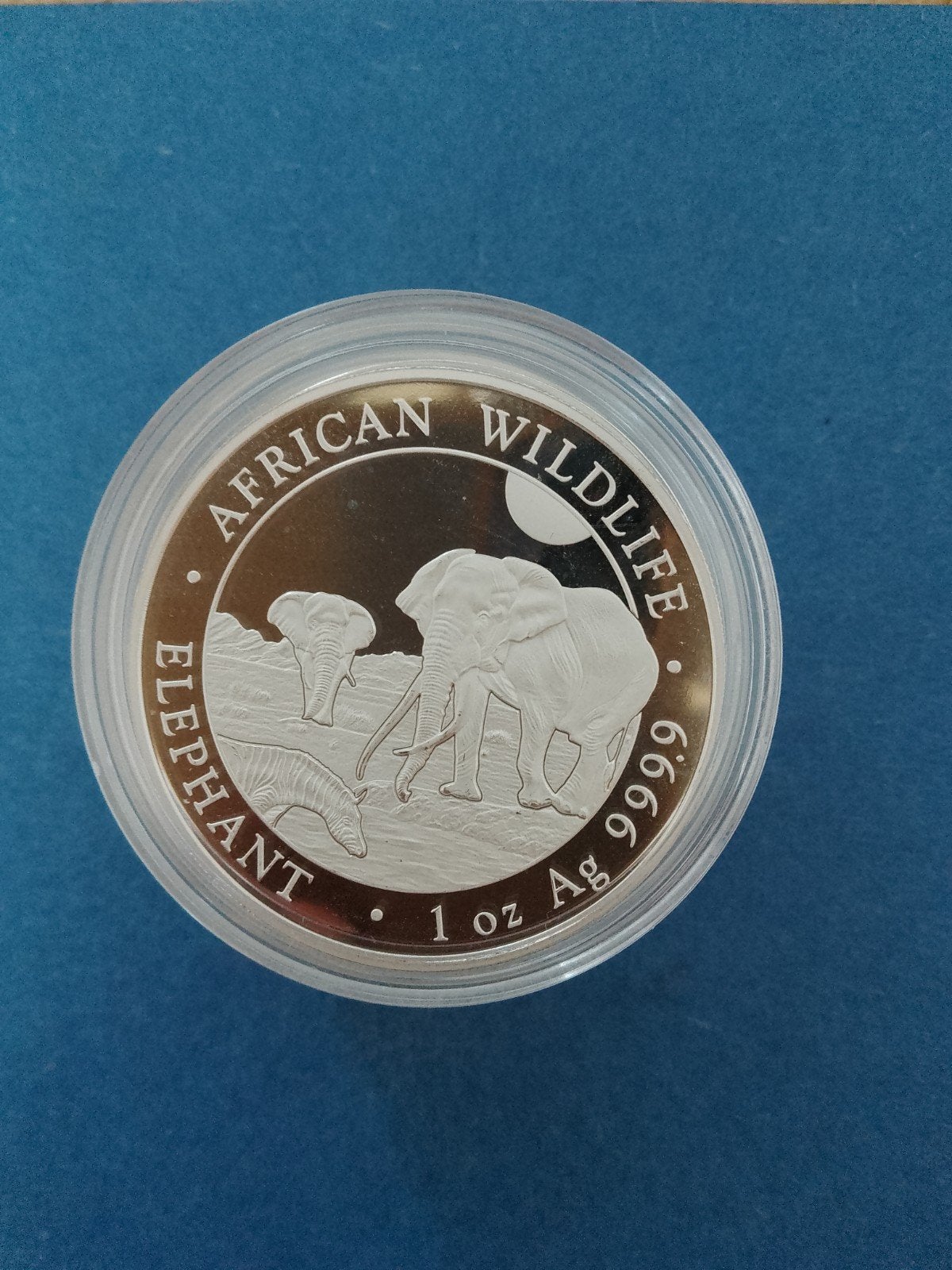 Somalische olifant 2026 1 oz zilver, Ophalen of Verzenden