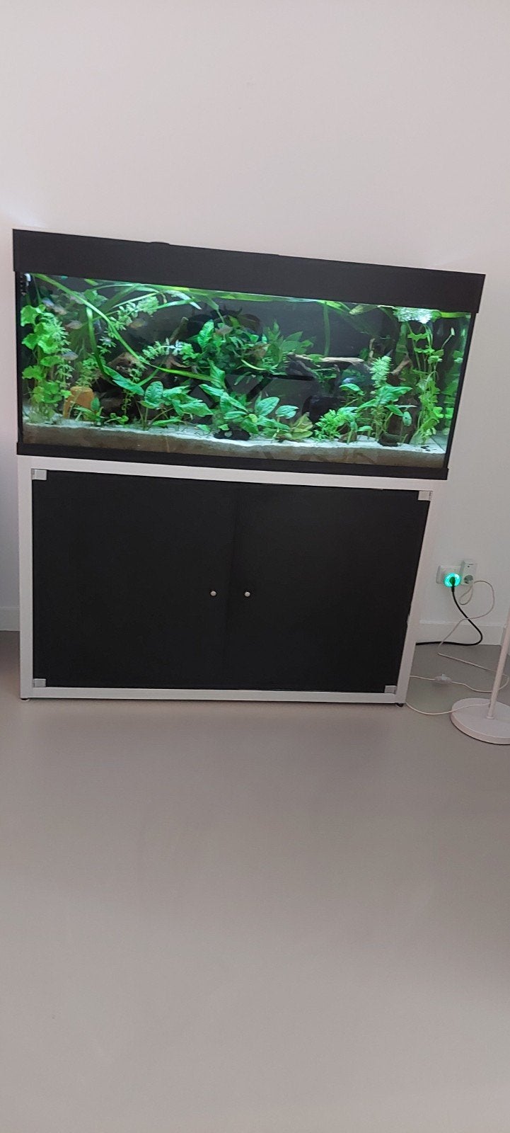 Aquarium compleet, Ophalen, Gevuld zoetwateraquarium