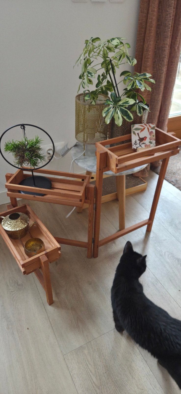 plantenstandaard, Ophalen, 25 tot 50 cm, Rechthoekig