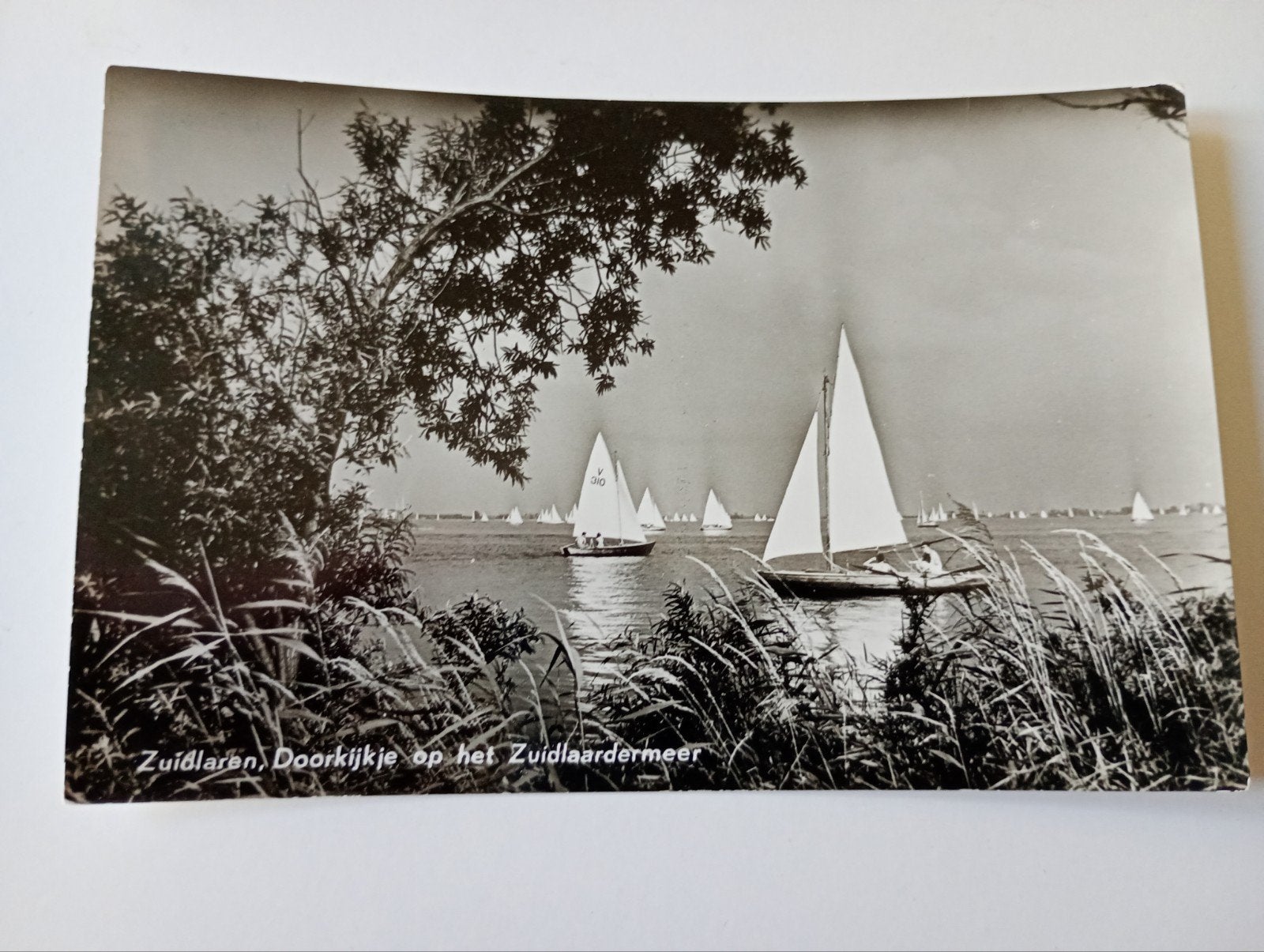 Zuidlaren Zuidlaardermeer 1968, Ophalen of Verzenden, 1960 tot 1980, Gelopen, Drenthe
