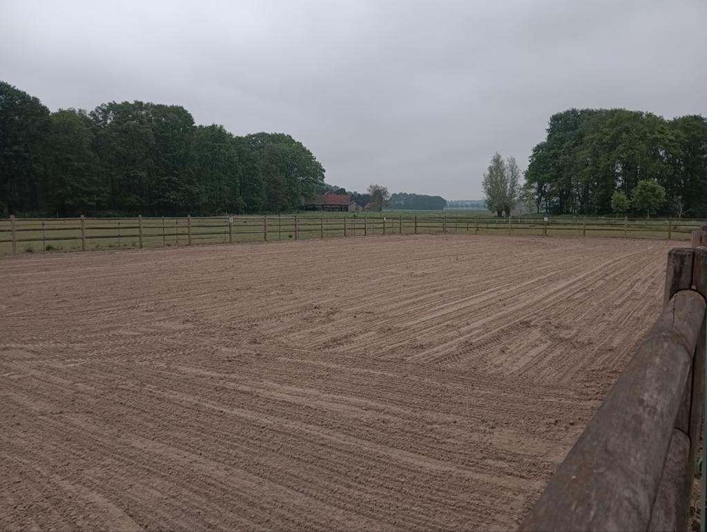 Voor max 3 paarden bij Overslag accommodatie te huur, Dieren en Toebehoren, Weidegang, 2 of 3 paarden of pony's