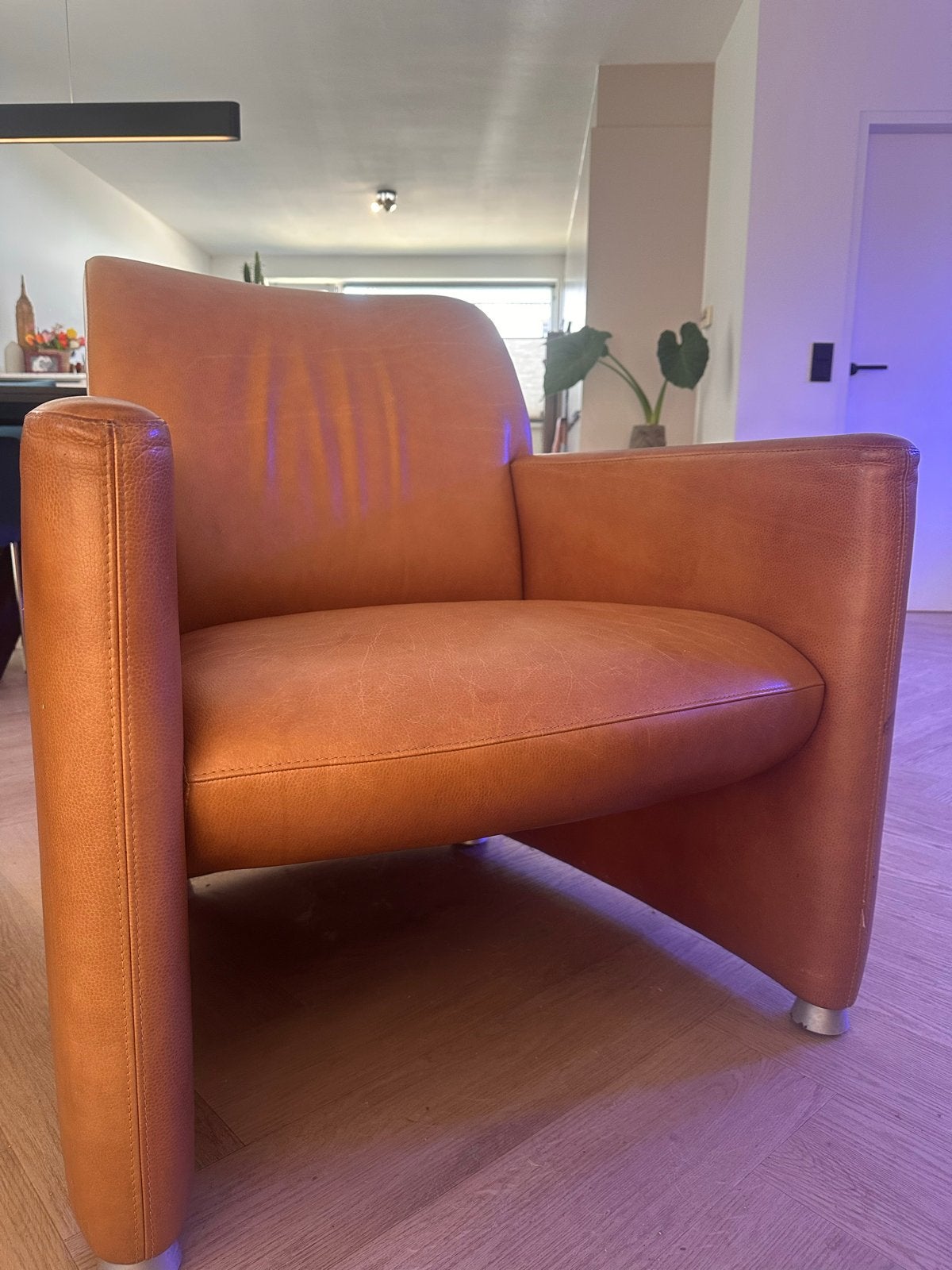 2 gebruikte leren stoelen met lichte gebruikssporen, Ophalen, Gebruikt, Twee, Bruin