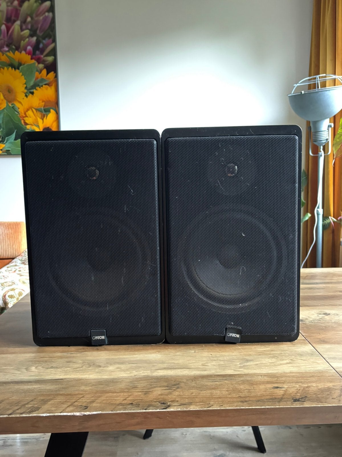 Supergoede luidsprekers, merk CANTON, Gebruikt, Overige typen, 60 tot 120 watt, Ophalen